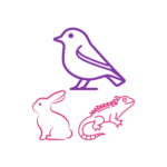 Aves y mascotas exóticas
