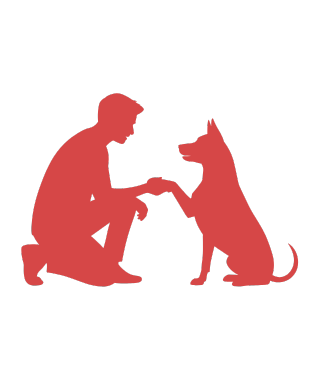 centro adopción