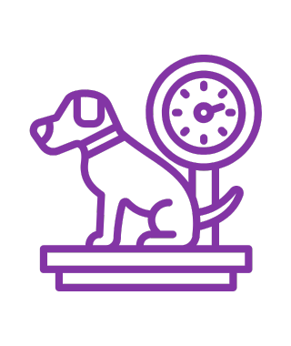 bienestar mascotas