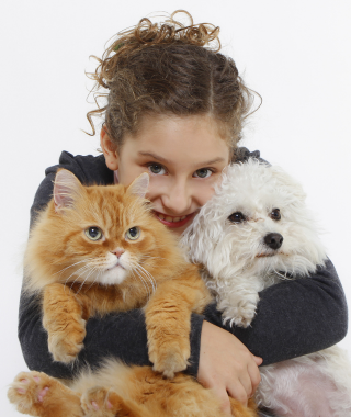 Perro y gato felices